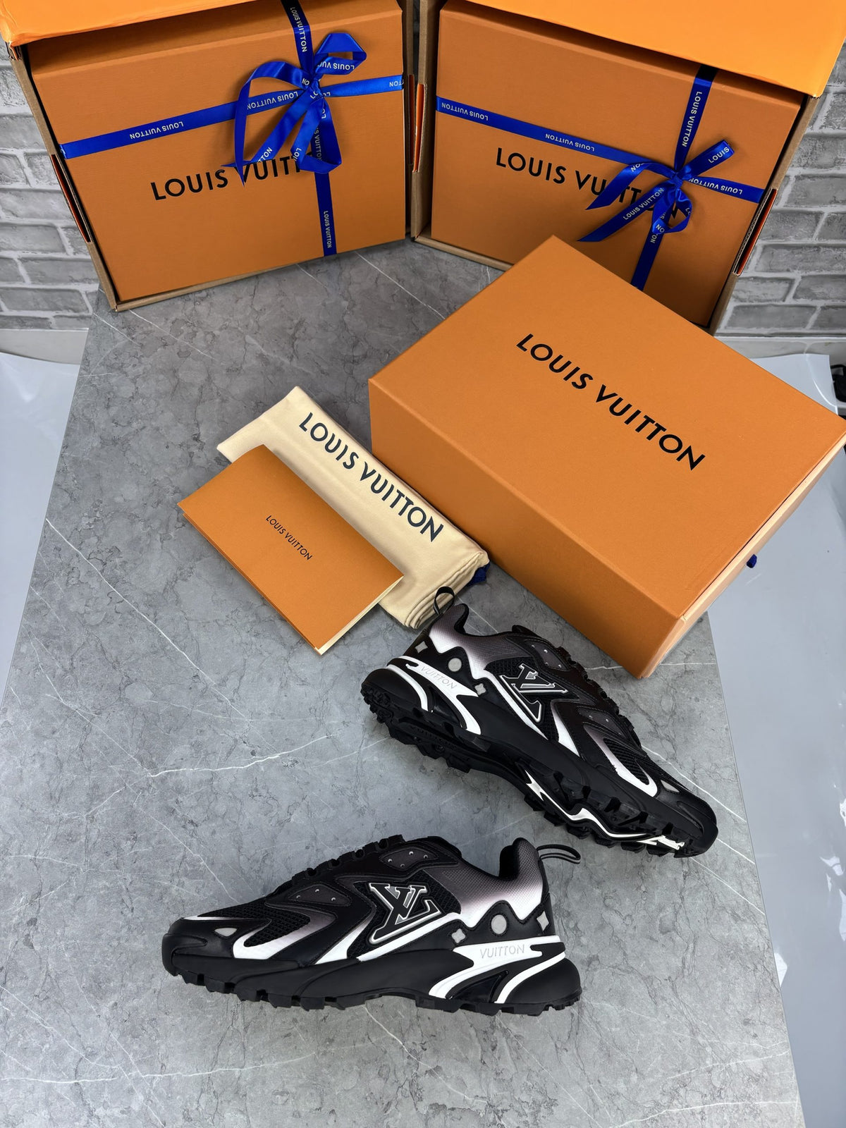 LV SNEAK image 5