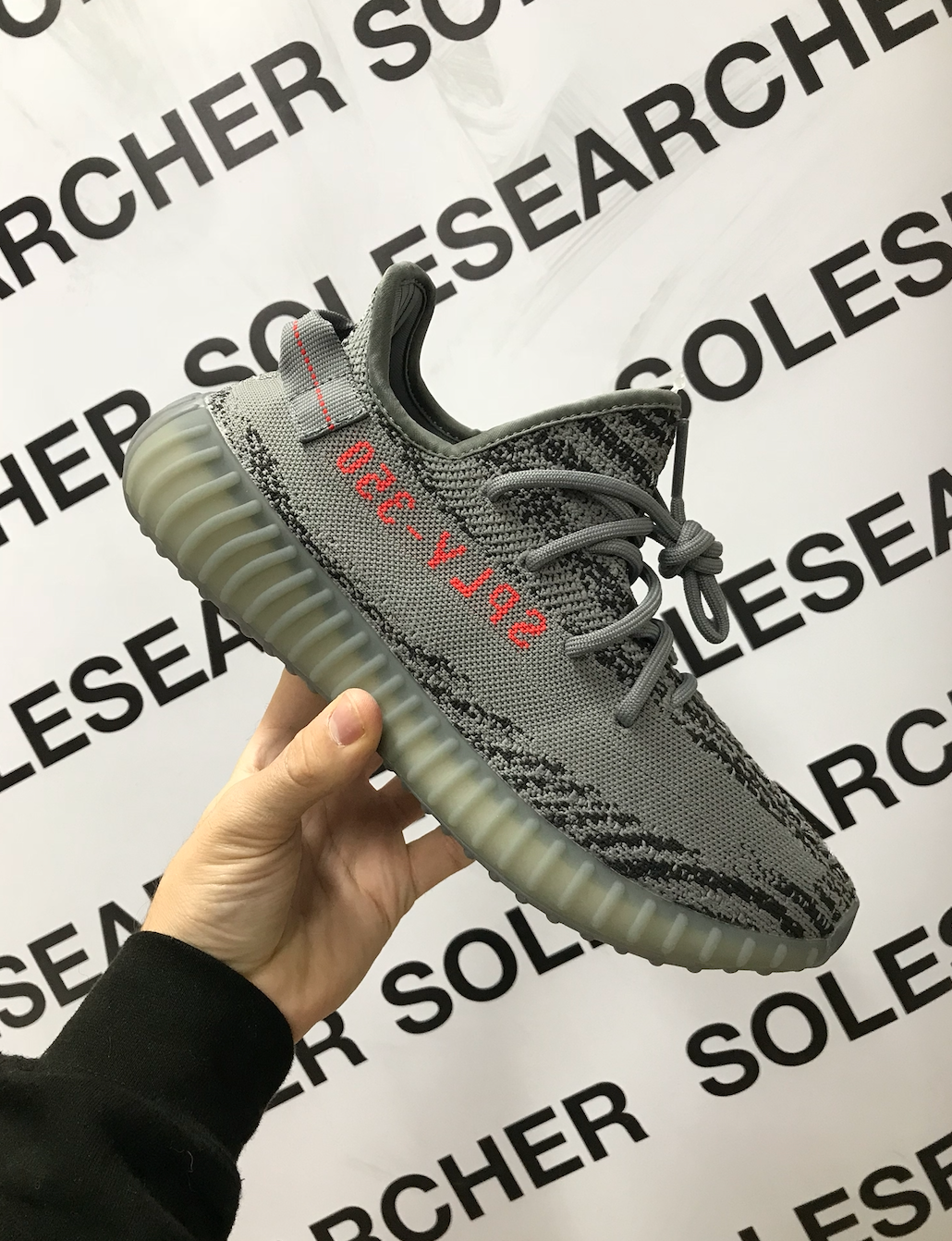 BELUGA 2.0 image 1