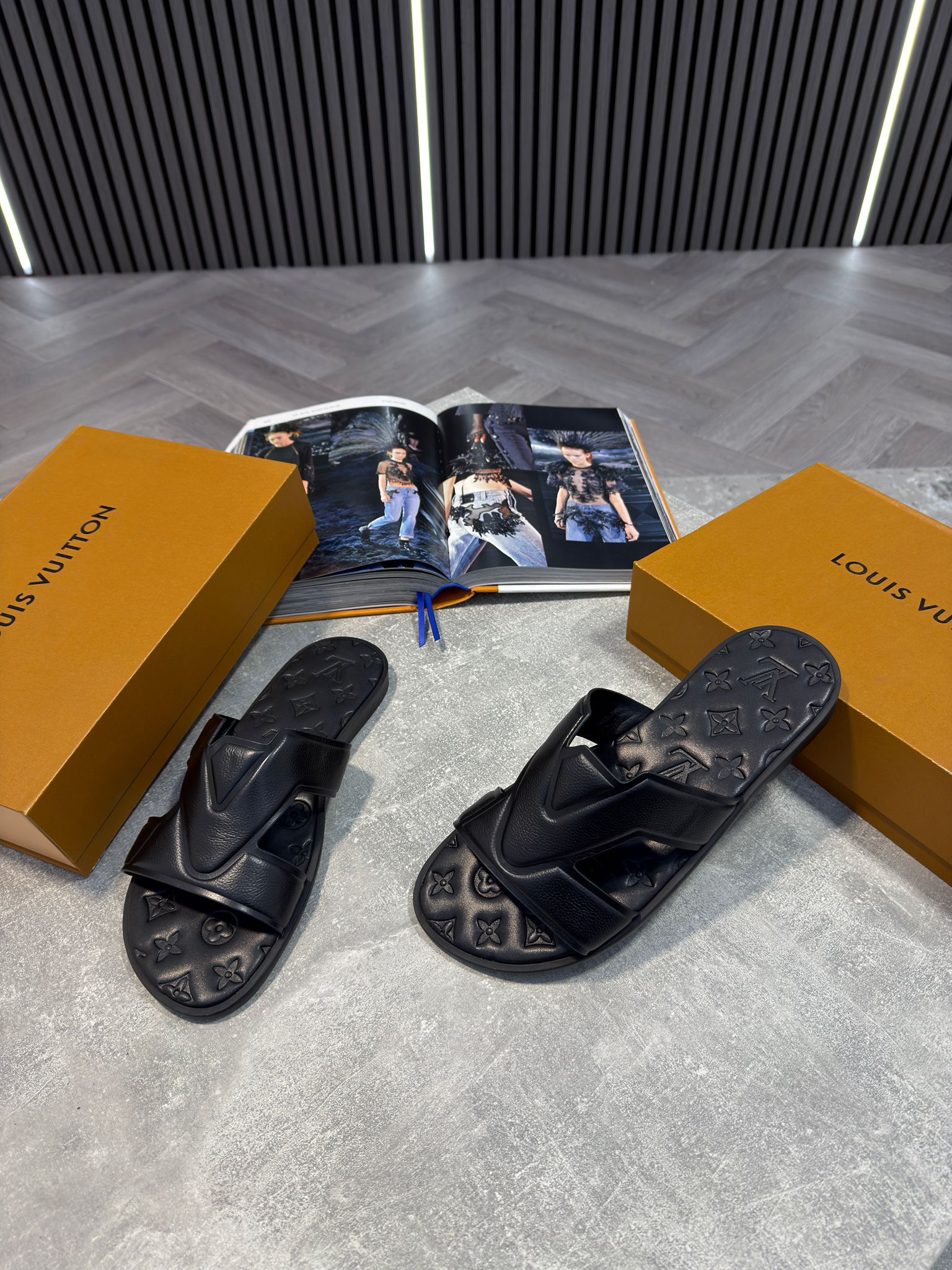 LV slides image 5