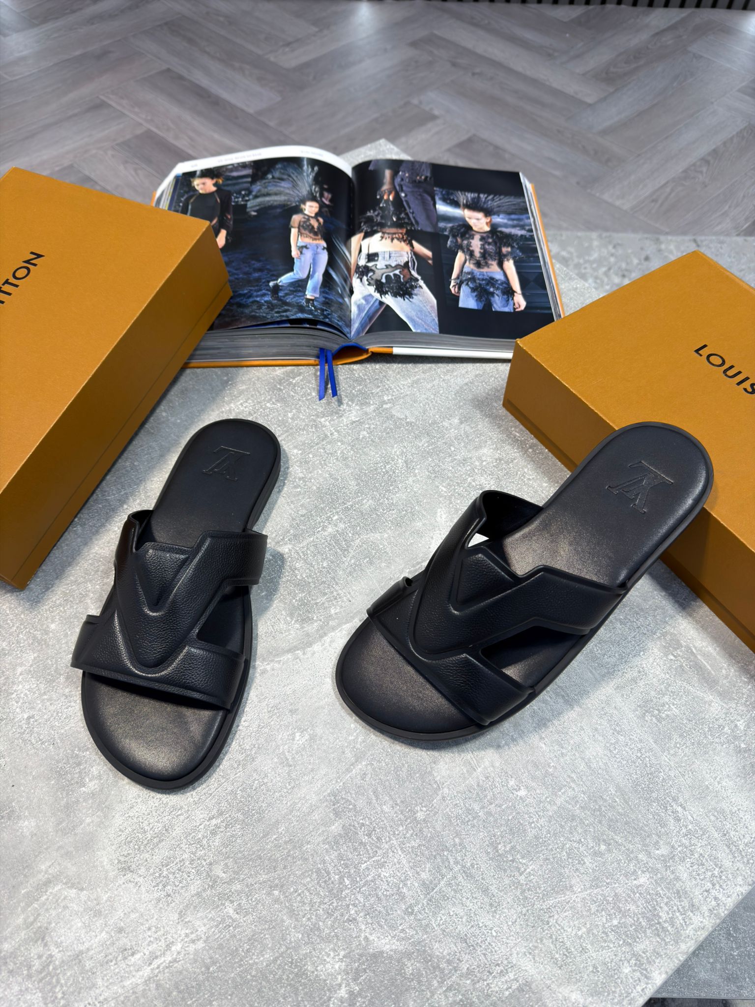 LV slides image 2