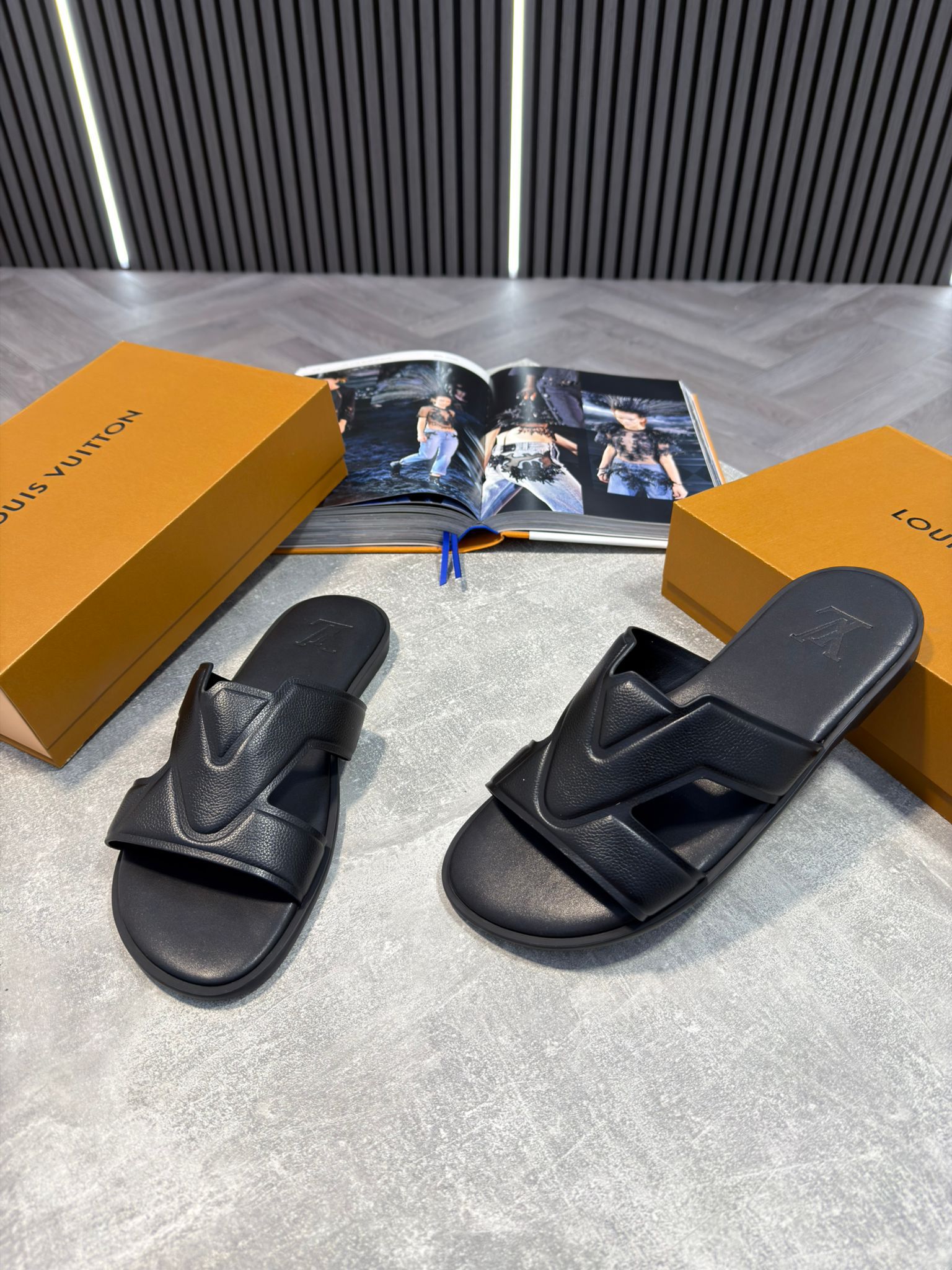 LV slides image 0