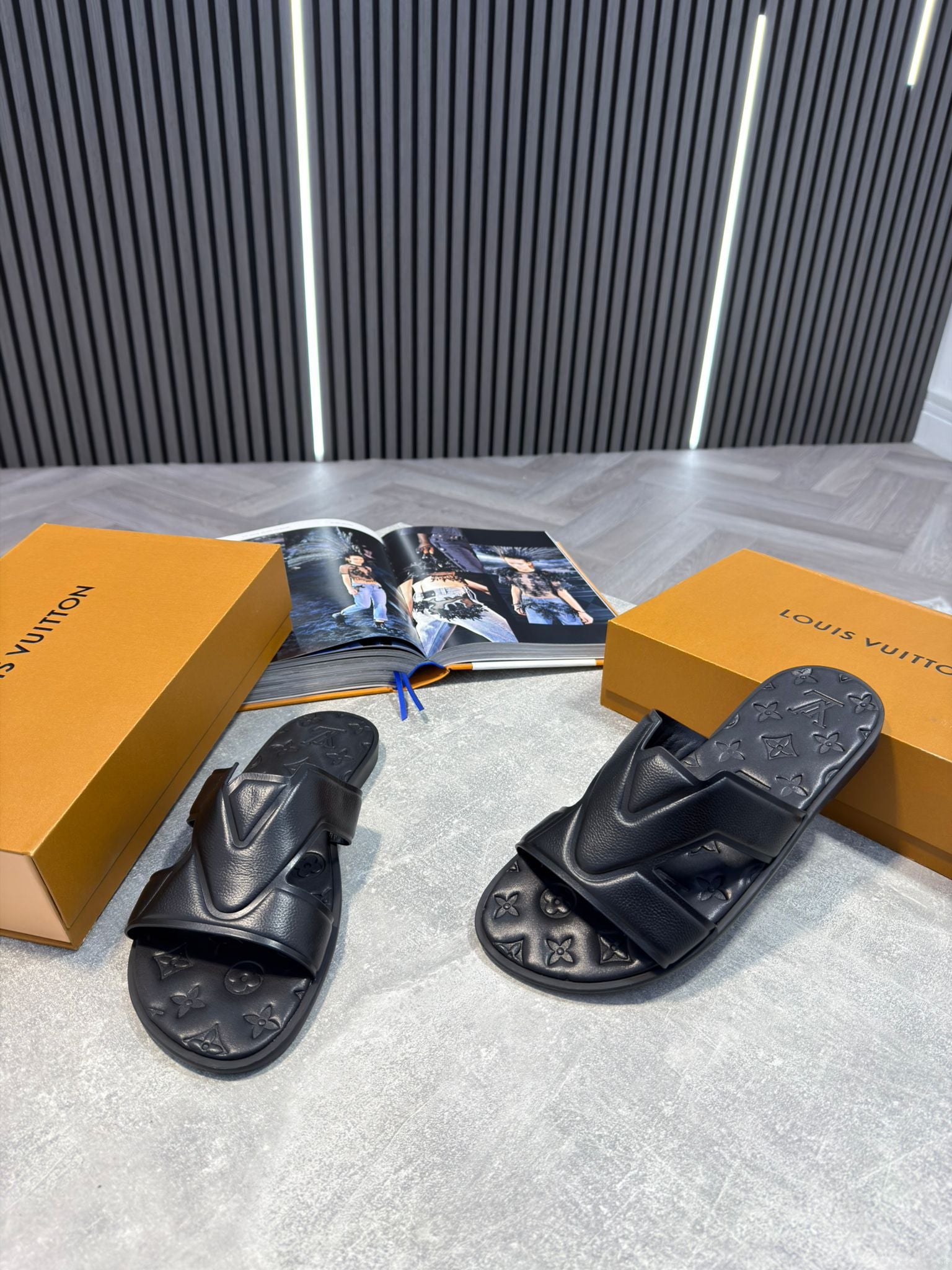 LV slides image 3