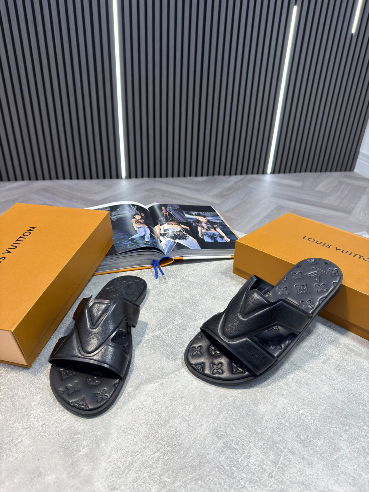 LV slides image 3