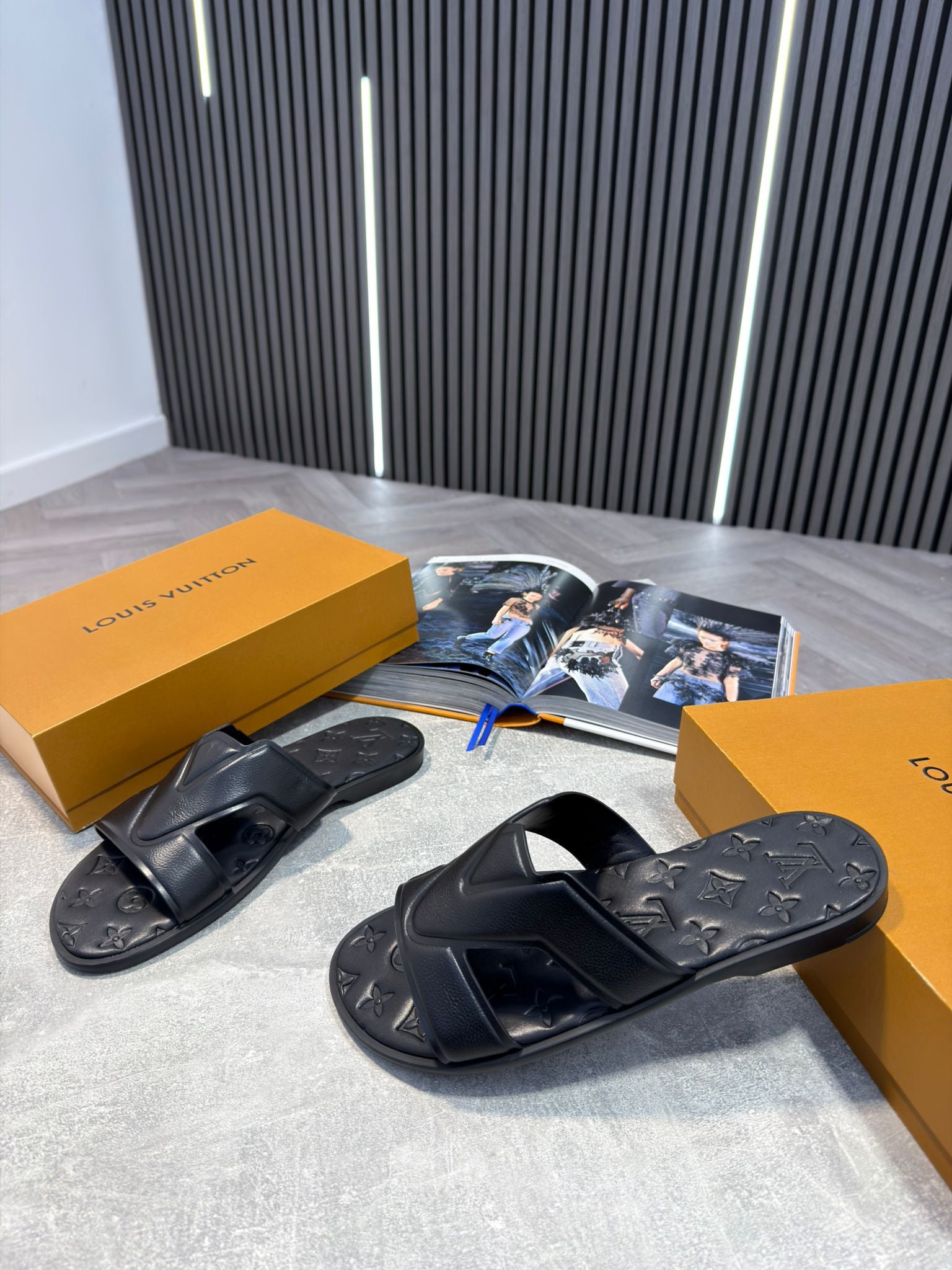 LV slides image 4
