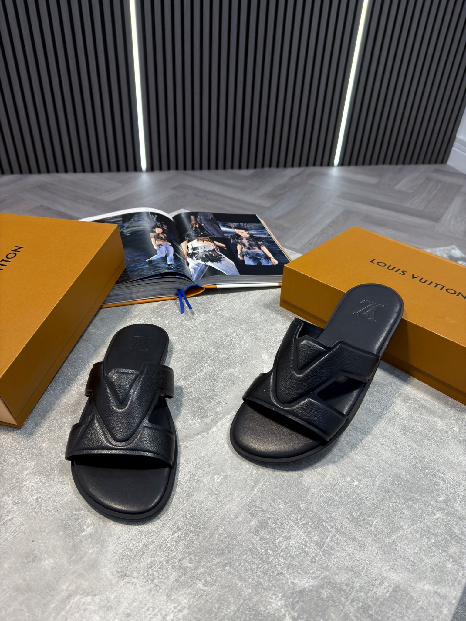 LV slides image 4