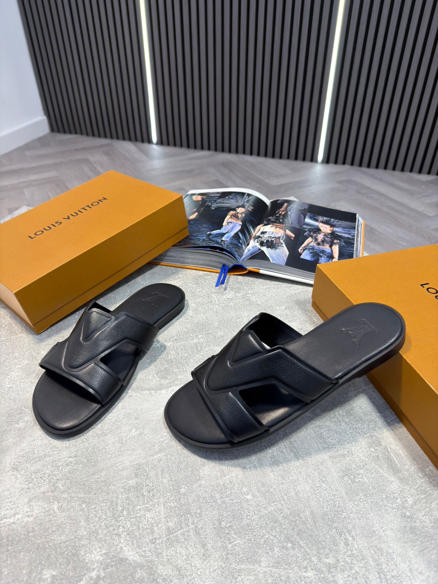 LV slides image 3