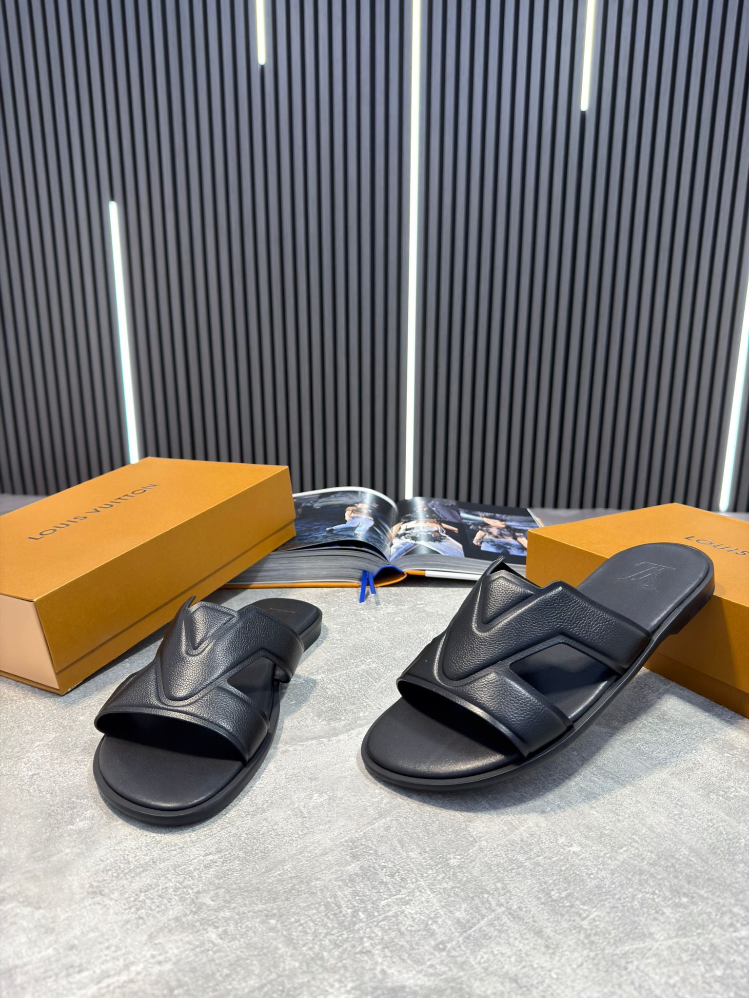 LV slides image 1