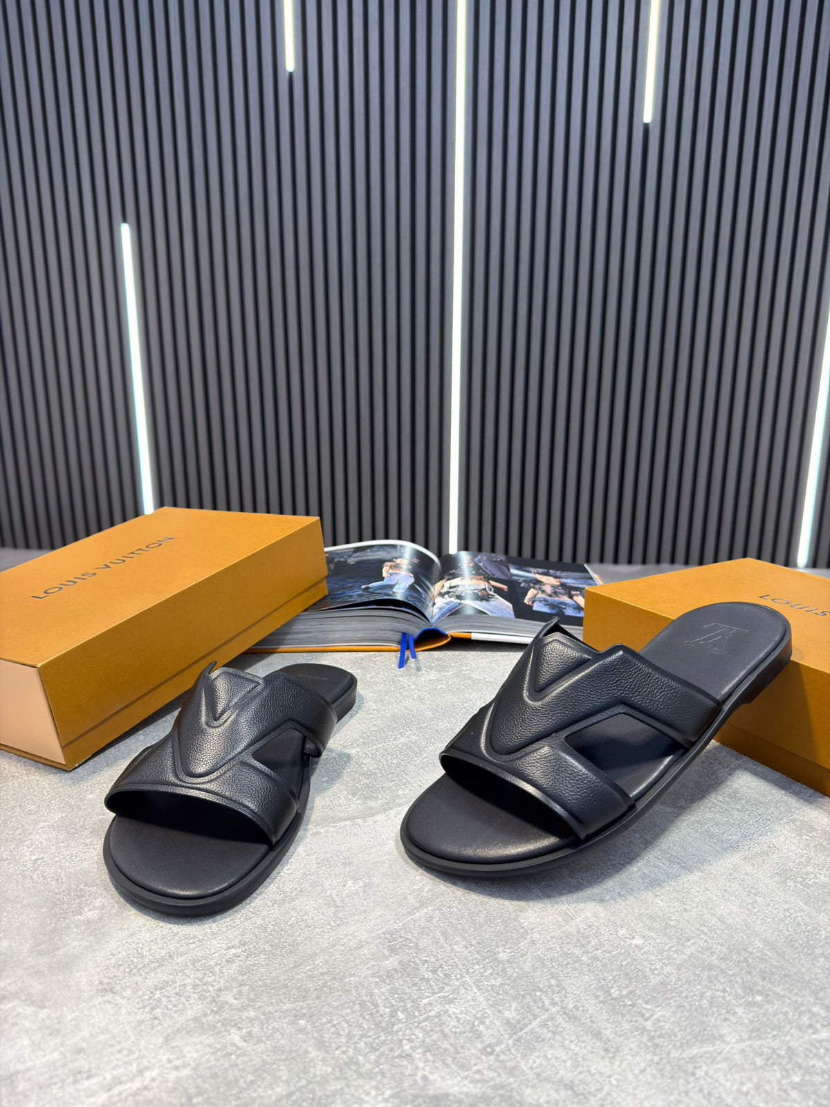 LV slides image 1