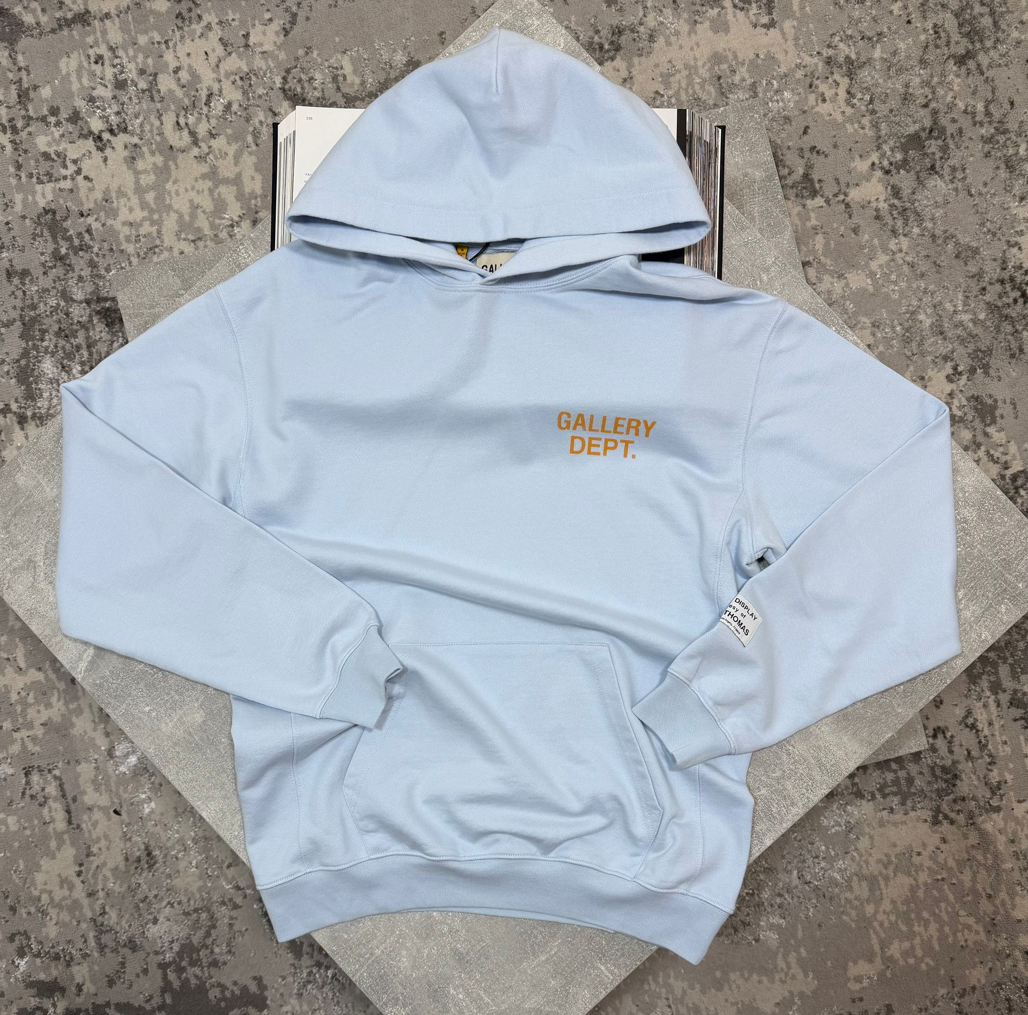 GD Hoodie sky Blue image 0