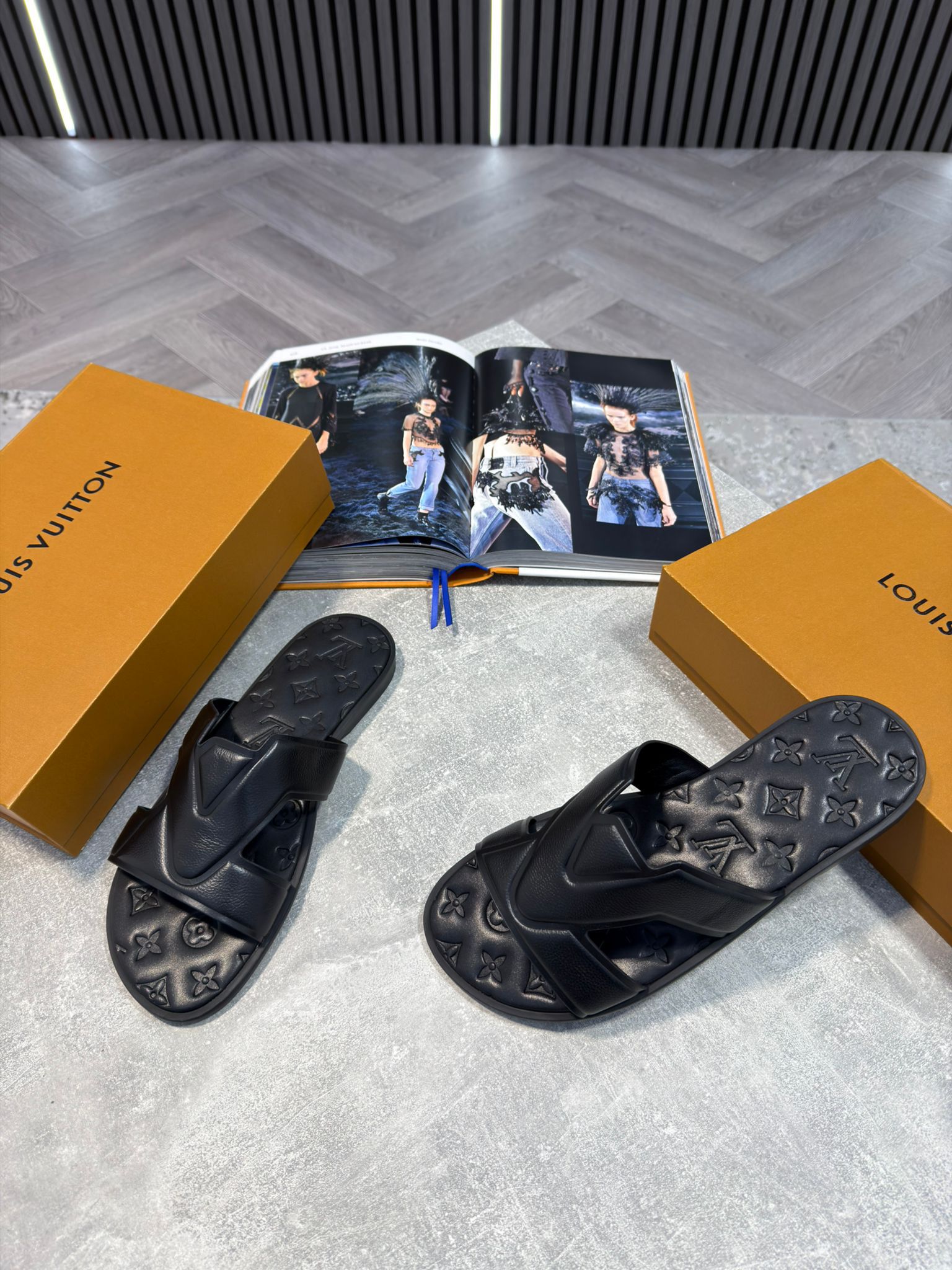 LV slides image 1