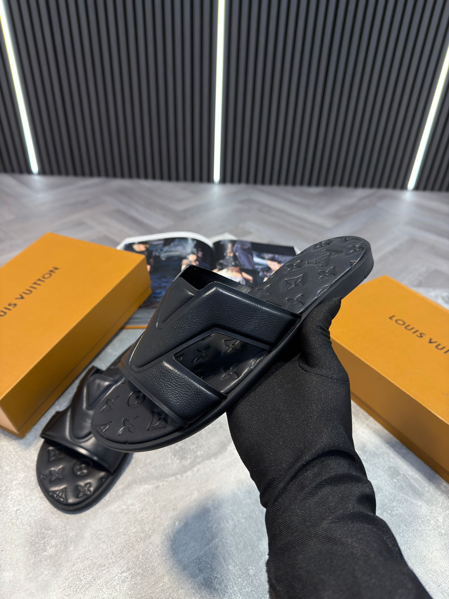 LV slides image 0