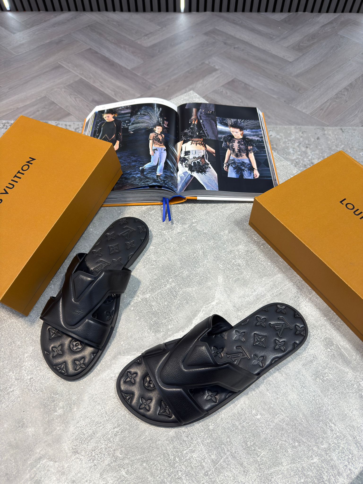 LV slides image 2