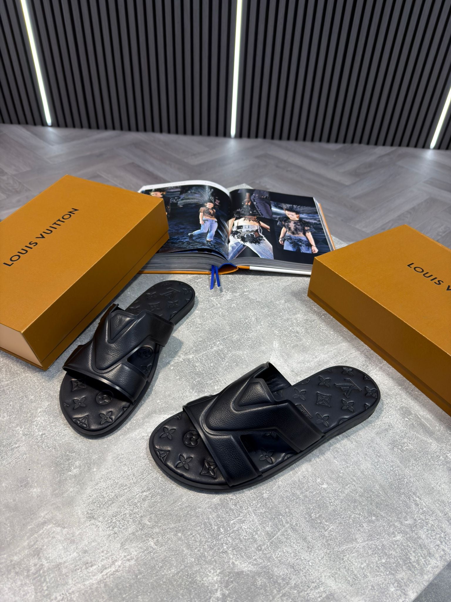 LV slides image 6